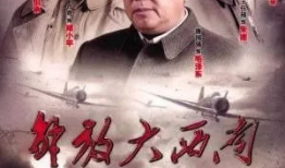 解放大西南电视剧全集,烽火岁月里的英雄传奇